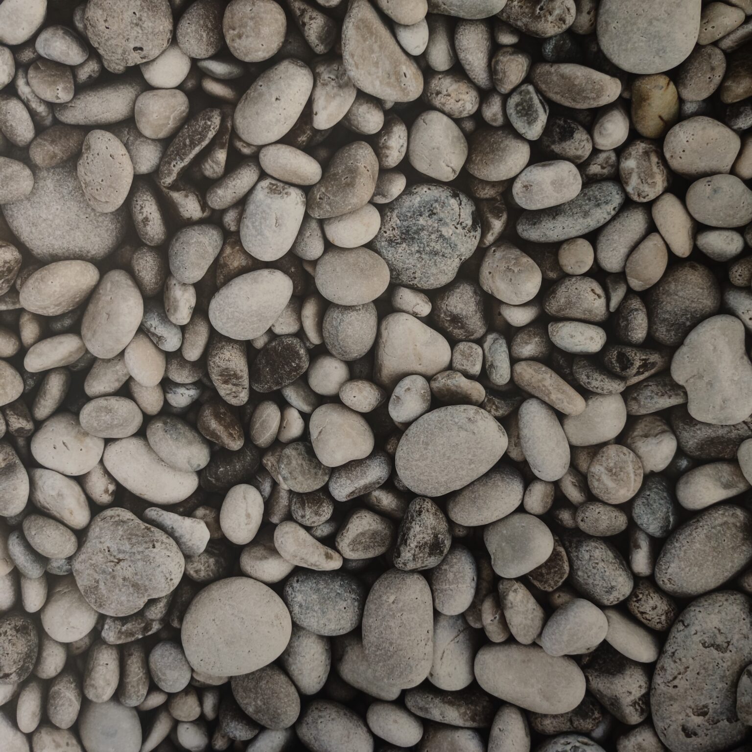 Kartong 300g Kivid 50x70cm