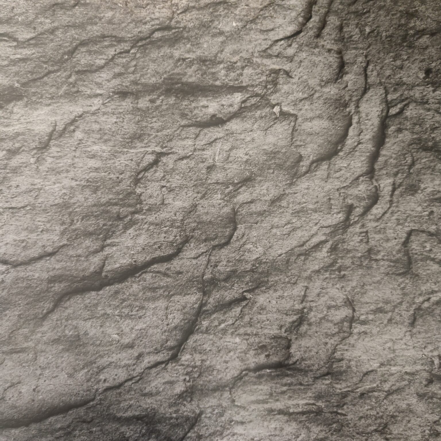 Kartong 300g Kivid 50x70cm - Image 2