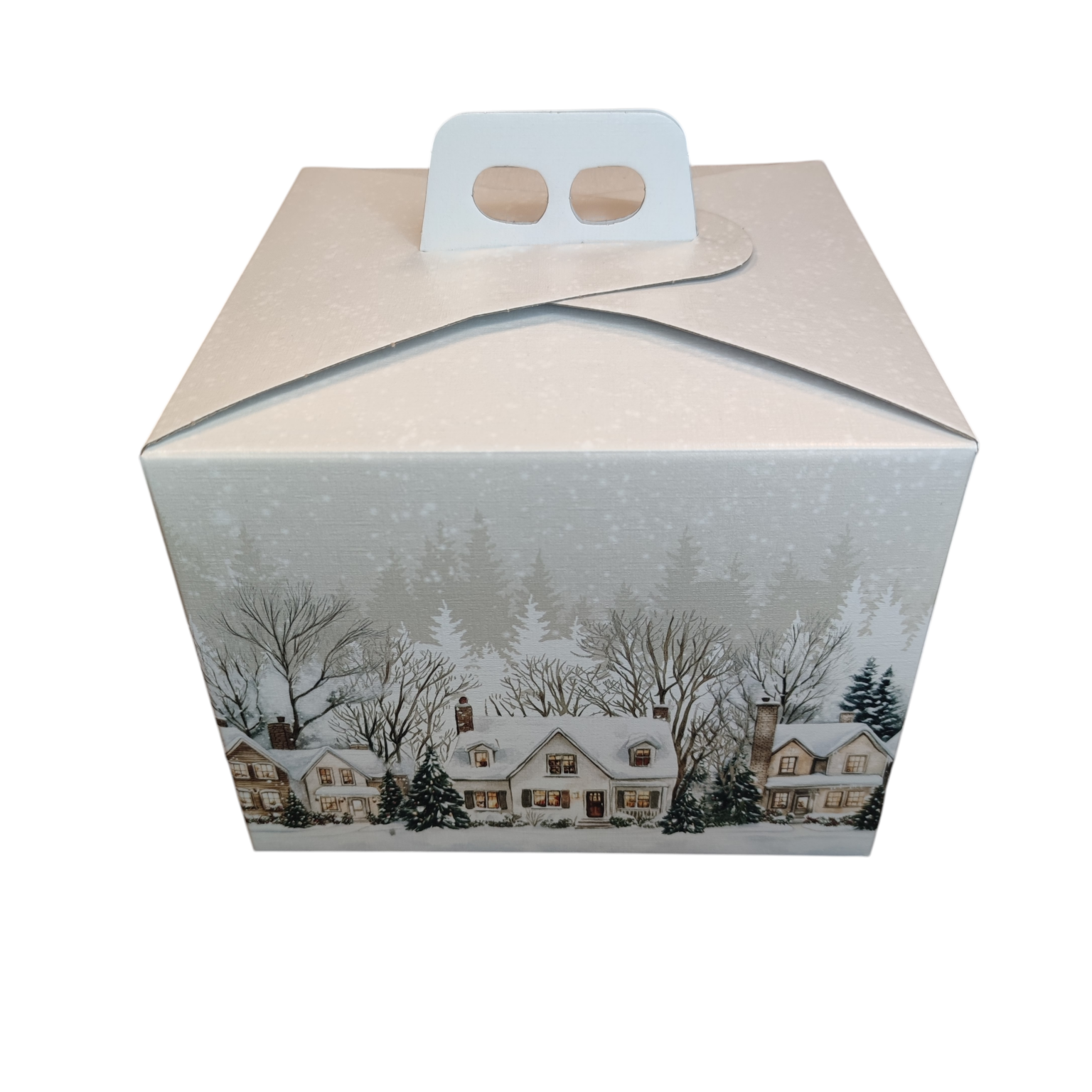 Karp sangaga 245x245x190 jõuluküla - Image 2