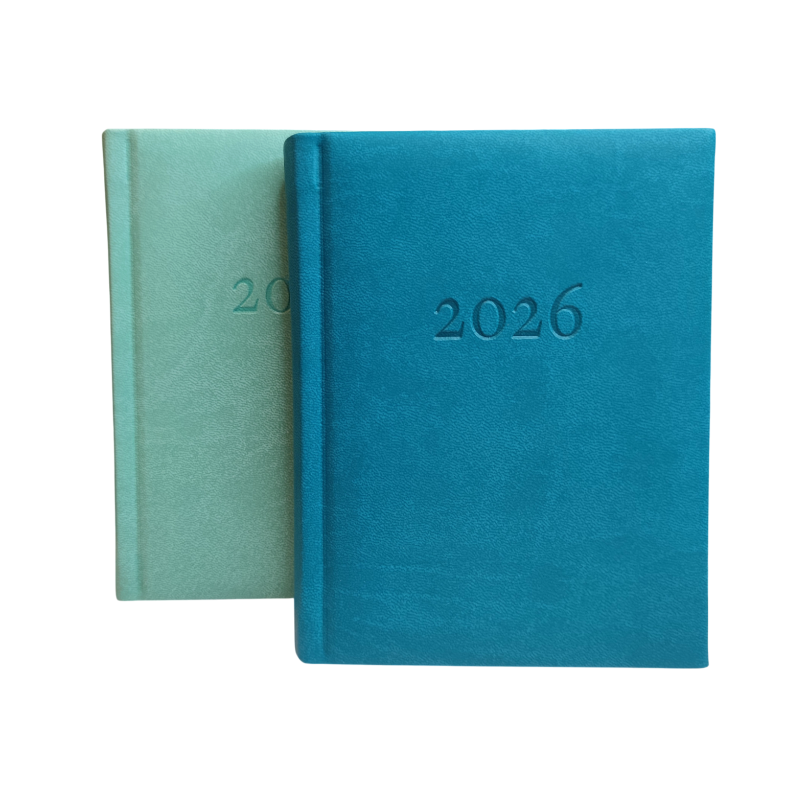 NÕUNIK Päev (erinevad värvid)