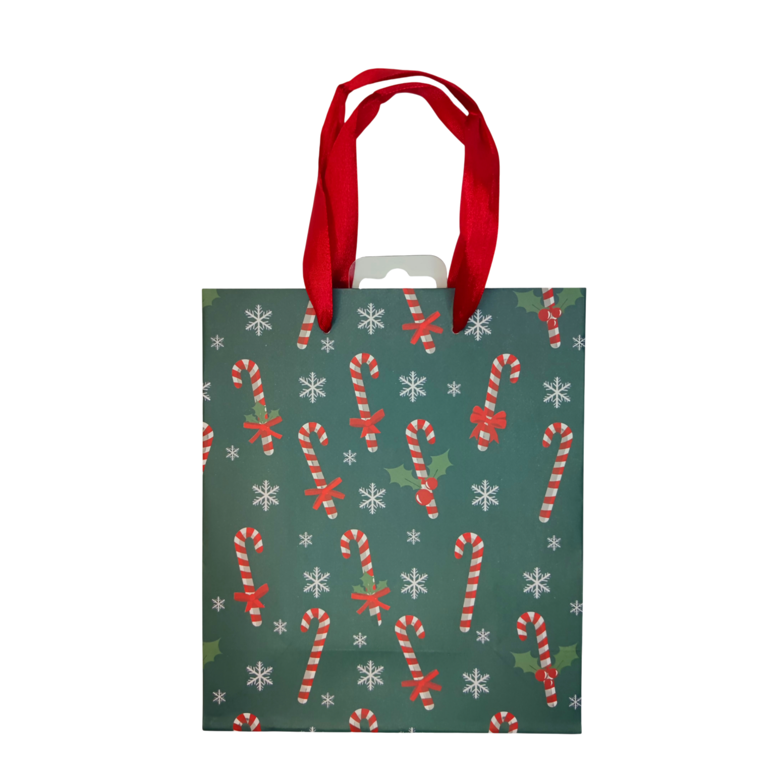 Kinkekott 18x8x21cm paelsangadega - Image 3