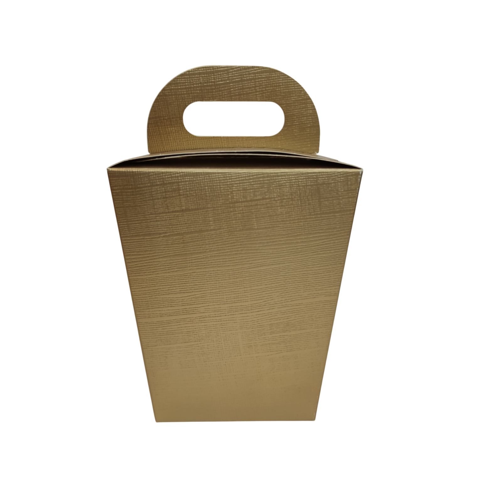 Kohver 100x50x160 kuldvõrk