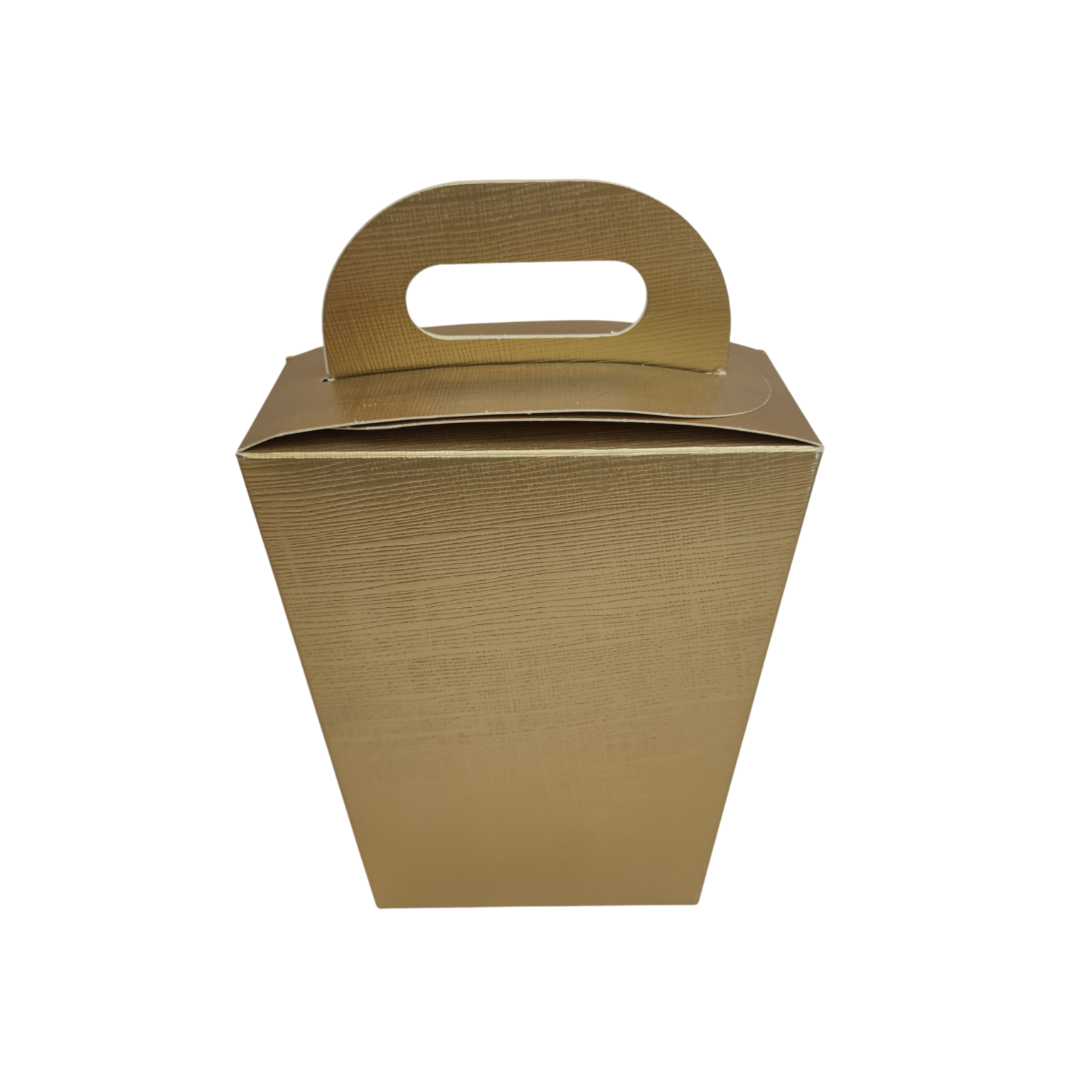 Kohver 100x50x160 kuldvõrk - Image 2