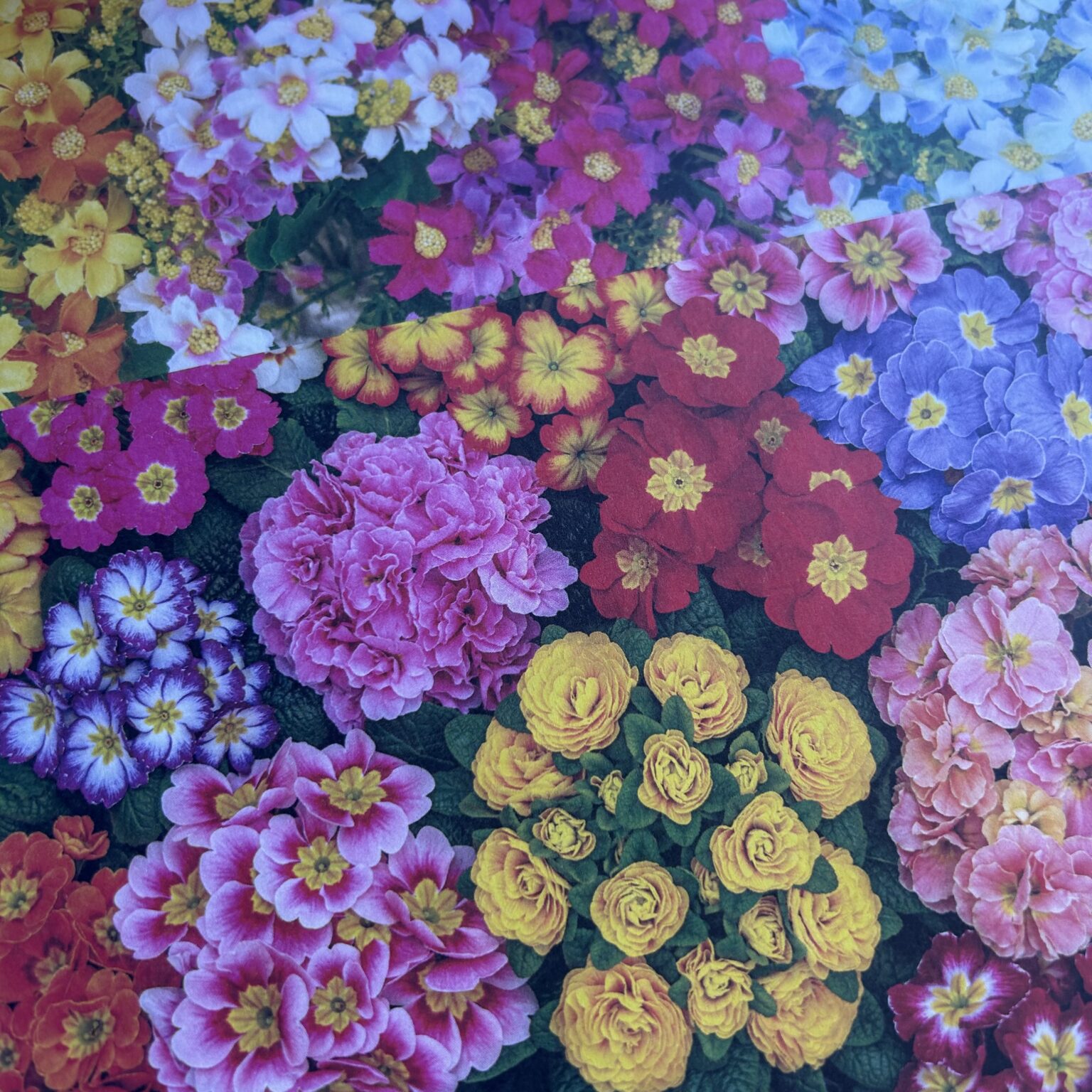 Disainpaber 80g A4 15 lehte LILLED - Image 2