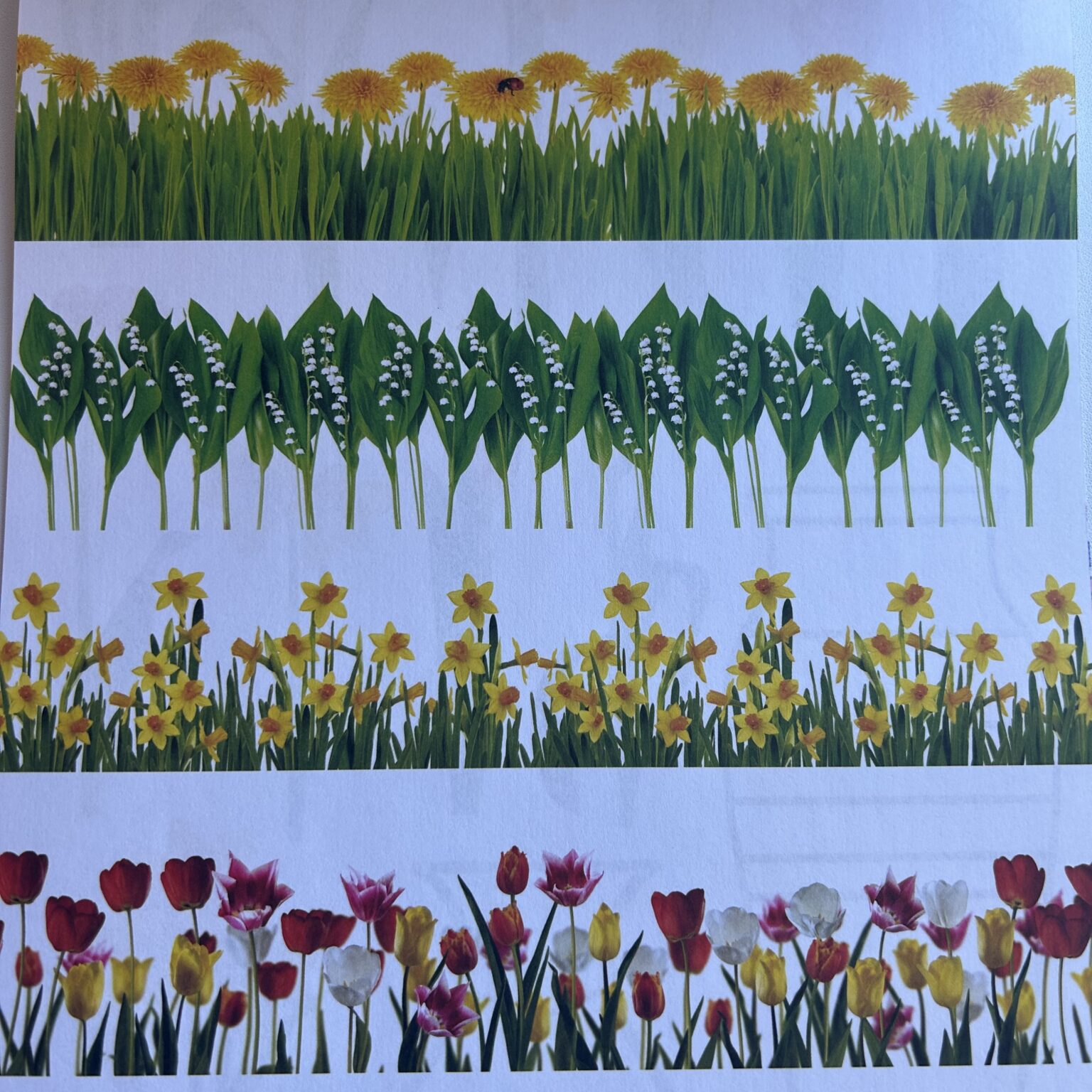 Disainpaber 80g A4 15 lehte LILLED - Image 3