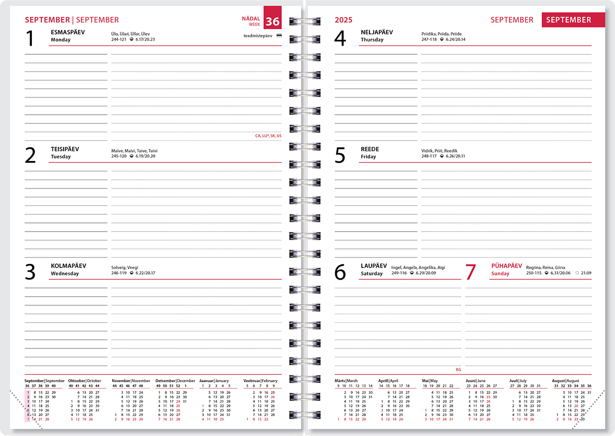 Õpetaja raamatu SISU spiraalköites Sulemees